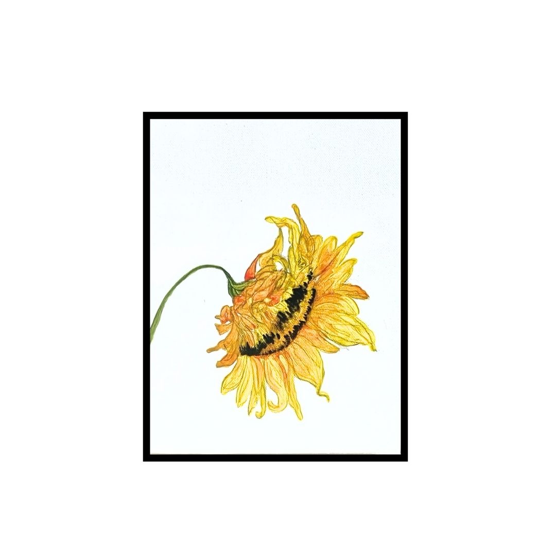 Hues of Spring Amber.